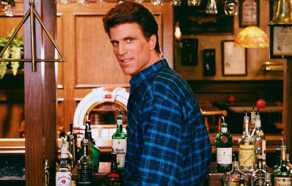 Ted Danson Television Dominance with Cheers